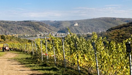 Panorama Breyer H&auml;mmchen | &copy; Weinbruderschaft Breyer H&auml;mmchen e.V.