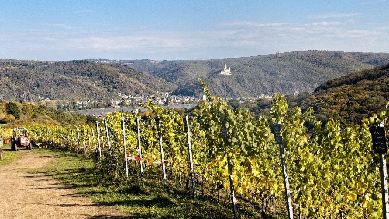 Panorama Breyer H&auml;mmchen | &copy; Weinbruderschaft Breyer H&auml;mmchen e.V.