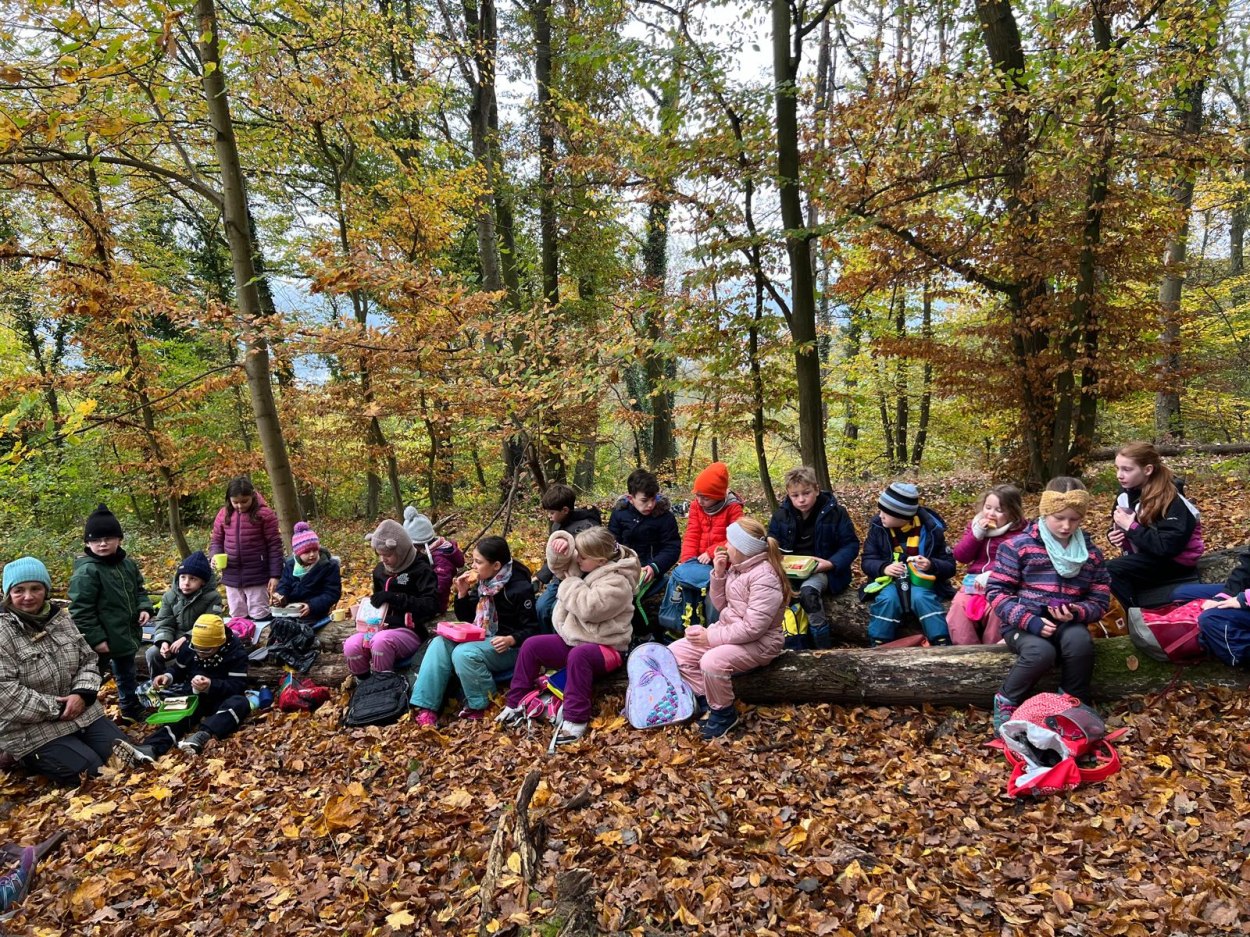Kinder im Wald